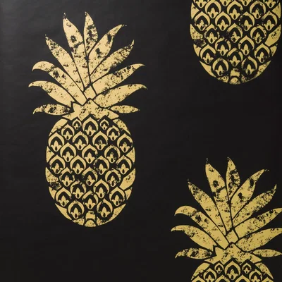 The Rug Seller Tobago Wallpaper W0086 01 by Clarke and Clarke in Ebony Black&nbsp;Roll