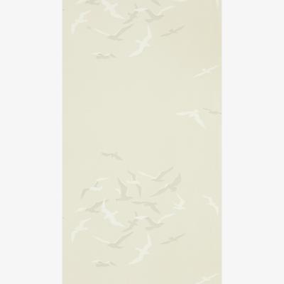 The Rug Seller Larina Wallpaper 216579 by Sanderson in Driftwood BrownRoll