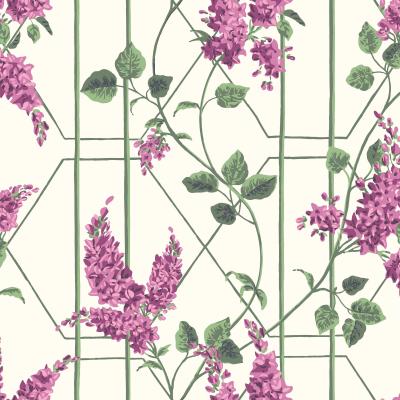 The Rug Seller Wisteria Wallpaper 5013 by Cole & Son in Magenta Pink Leaf Green&nbsp;Roll