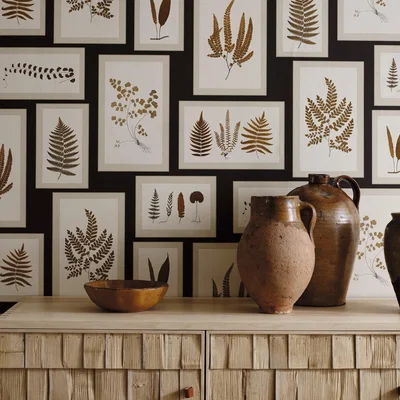 The Rug Seller Fern Gallery Wallpaper 215713 by Sanderson in Charcoal Spice Brown&nbsp;Roll