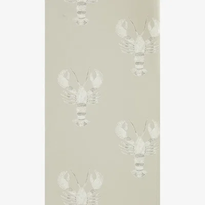 The Rug Seller Cromer Wallpaper 216587 by Sanderson in Driftwood BrownRoll