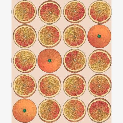 The Rug Seller Arance Wallpaper 24047 by Cole & Son in Orange stone&nbsp;Roll