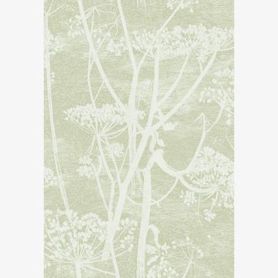 The Rug Seller Cow Parsley Wallpaper 8029 by Cole & Son in Olive GreenRoll