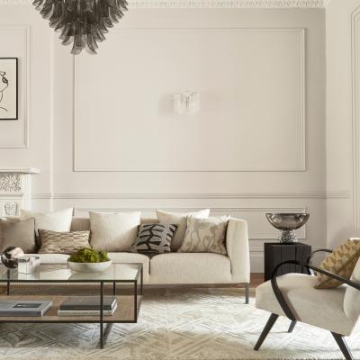The Rug Seller True Matt Emulsion Paint by Zoffany in Architects White2.5
