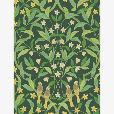 The Rug Seller Jasmine & Serin Symphony Wallpaper 10029 by Cole & Son in Forest GreenRoll