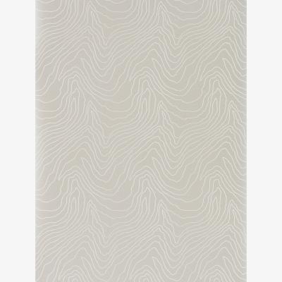 The Rug Seller Formation Wallpaper 111590 by Harlequin in Mineral GreyRoll
