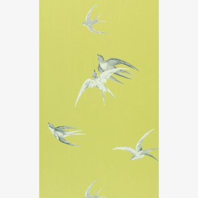 The Rug Seller Swallows Wallpaper 101 by Sanderson in Lime Green&nbsp;Roll