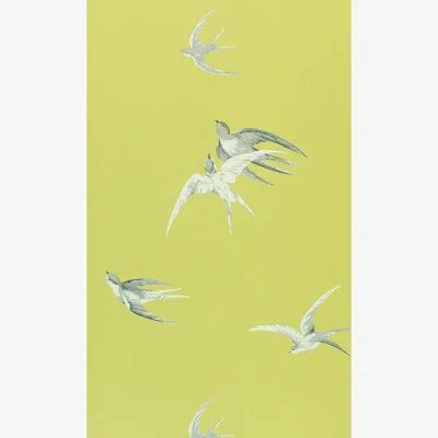 The Rug Seller Swallows Wallpaper 101 by Sanderson in Lime Green&nbsp;Roll