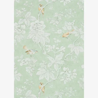 The Rug Seller Chiswick Grove 216387 Wallpaper by Sanderson in Sage Green&nbsp;Roll