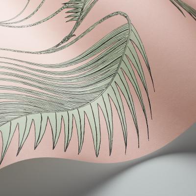 The Rug Seller Palm Leaves Wallpaper 2005 by Cole & Son in Alabaster Pink MintRoll