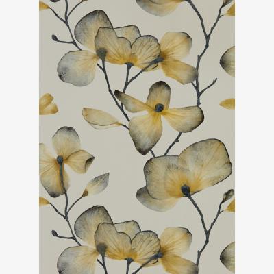 The Rug Seller Kienze Wallpaper 111958 by Harlequin in Ochre SteelRoll