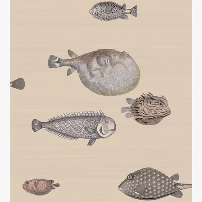 The Rug Seller Acquario Wallpaper 16033 by Cole & Son in Taupe Brown&nbsp;Roll
