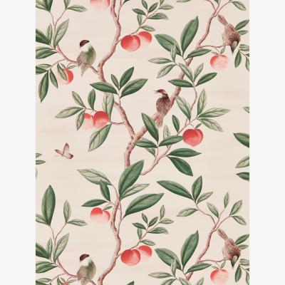 The Rug Seller Ella Wallpaper 112907 by Harlequin in Powder Sage Pink&nbsp;Roll