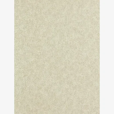 The Rug Seller Shagreen Wallpaper 312908 by Zoffany in Platinum Grey&nbsp;Roll
