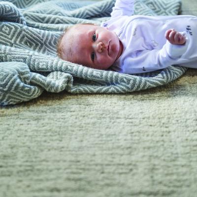 The Rug Seller Country Tweed Plain Wool Rugs in Oyster&nbsp;160x230cm
