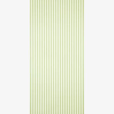 The Rug Seller New Tiger Stripe Wallpaper 103 by Sanderson in Leaf Green Ivory&nbsp;Roll