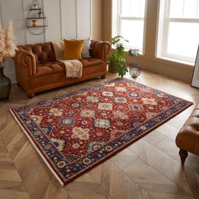 The Rug Seller Nomad 4601 S Traditional Rugs in Multi