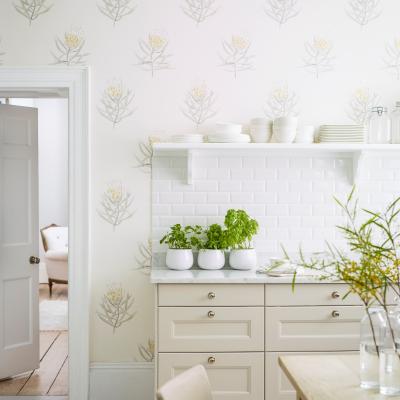 The Rug Seller Protea Flower Wallpaper 216328 by Sanderson in Daffodil NaturalRoll
