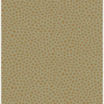 The Rug Seller Senzo Spot Wallpaper 6029 by Cole & Son in Old Olive GreenRoll