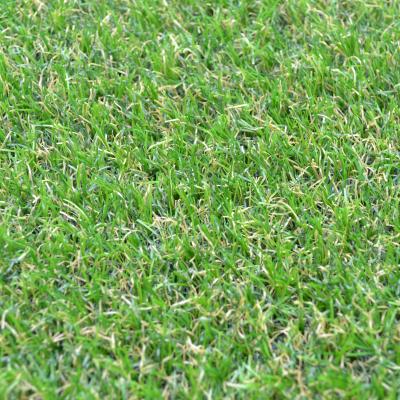 The Rug Seller Camellia Artificial Grass by Easy Lawn&nbsp;500x400cm
