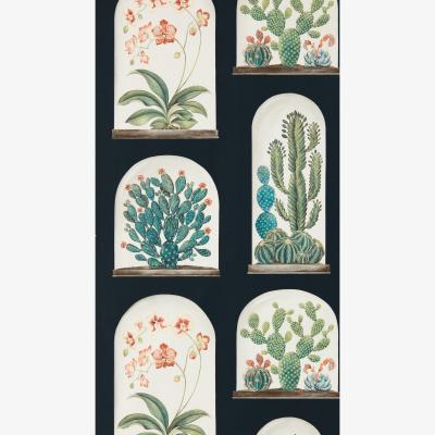 The Rug Seller Terrariums Wallpaper 216658 by Sanderson in Ink Multi&nbsp;Roll