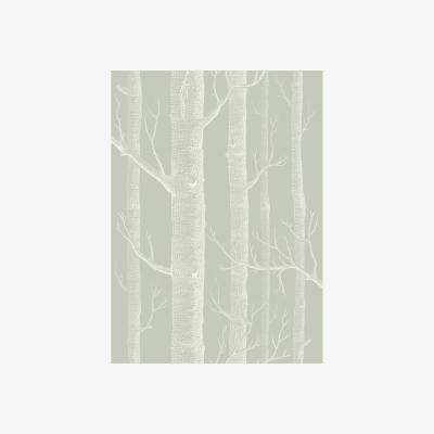 The Rug Seller Woods Wallpaper 3013 by Cole & Son in Old OliveRoll