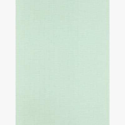 The Rug Seller Lint Textured Wallpaper 112095 by Harlequin in Seaglass Green&nbsp;Roll
