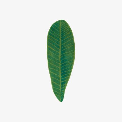 The Rug Seller Luxury Feuille Leaf Bath Mat by Designer Abyss & Habidecor&nbsp;65x185cm