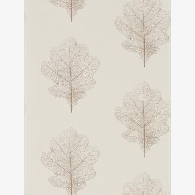 The Rug Seller Oak Filigree Wallpaper 215699 by Sanderson in Milk Pearl&nbsp;Roll