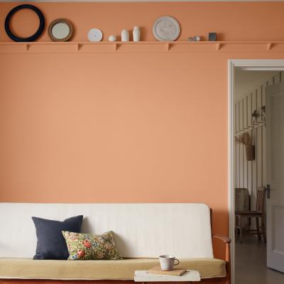 The Rug Seller Water Based Acrylic Eggshell Paint by Morris & Co in Spring Thicket Dawn2.5