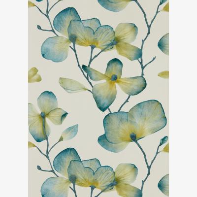 The Rug Seller Kienze Wallpaper 111957 by Harlequin in Marine ZestRoll