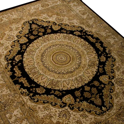 The Rug Seller Nourison 2000 Rugs 2233 Black