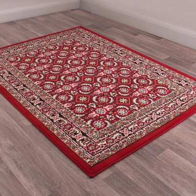 The Rug Seller Esta Rugs in Red by Rugstyle&nbsp;60x110cm