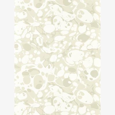 The Rug Seller Marble Wallpaper 2112838 by Harlequin in Awakening Oyster Champagne&nbsp;Roll