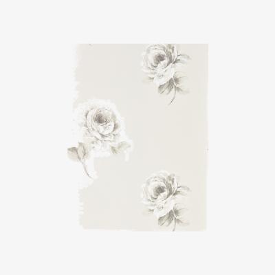 The Rug Seller Rosa Floral Wallpaper 216276 by Sanderson in Chalk White&nbsp;Roll