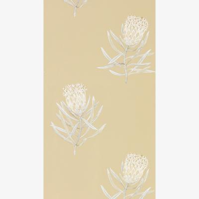 The Rug Seller Protea Flower Wallpaper 216331 by Sanderson in Sepia ChampagneRoll