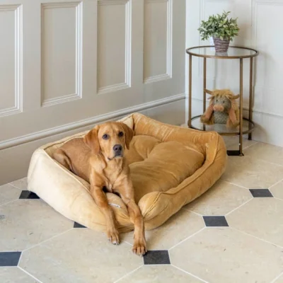 Dunelm House of Paws Velvet Square Bed