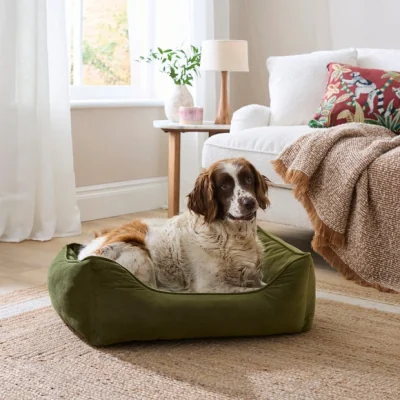 Dunelm Velvet Box Dog Bed