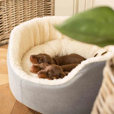 Dunelm Lords and Labradors Grow With Me Puppy Bed