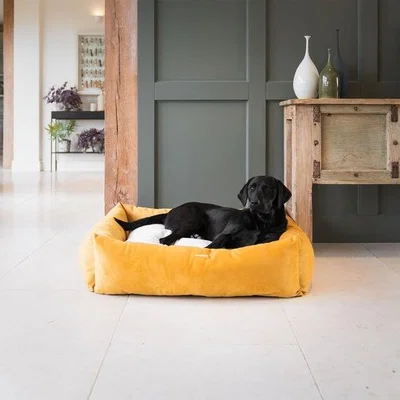 Dunelm Lords and Labradors Velvet Box Dog Bed