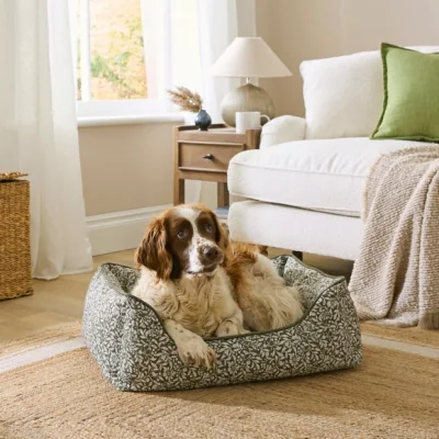 Dunelm Chartwell Leaf Box Dog Bed