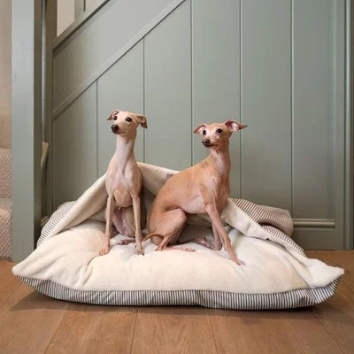 Dunelm Lords and Labradors Sriped Burrow Dog Bed