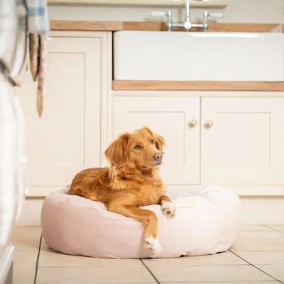 Dunelm Lords and Labradors Velvet Donut Dog Bed