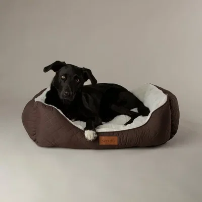 Dunelm Scruffs Wilton Box Bed