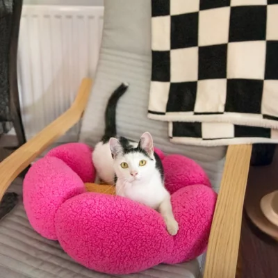 Dunelm Rosewood Cosy Flower Cat Bed