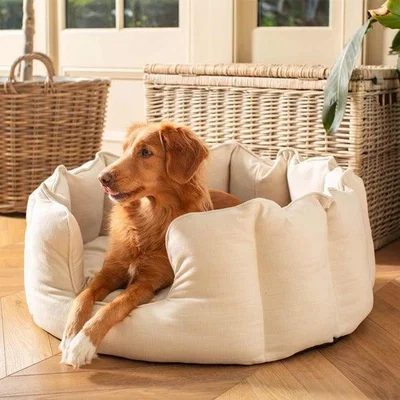 Dunelm Lords and Labradors Savanna High Wall Dog Bed