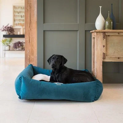 Dunelm Lords and Labradors Velvet Box Dog Bed