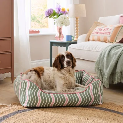 Dunelm Wave Box Dog Bed