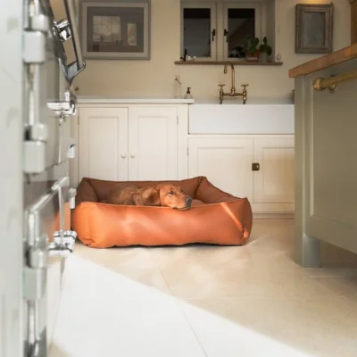Dunelm Lords and Labradors Rhino Leather Box Dog Bed