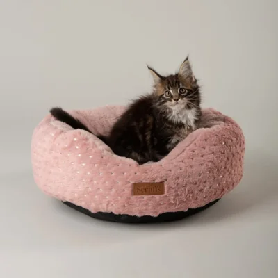 Dunelm Scruffs My First Bed Starlight Puppy and Kitten Calming Round Bed